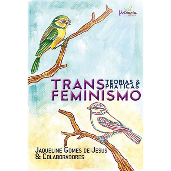 Transfeminismo: teorias e práticas
